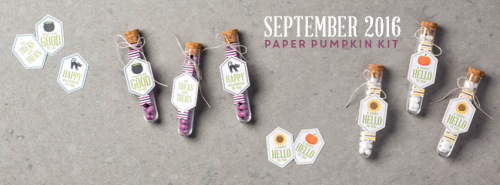 The September 2016 Something Good to Eat Paper Pumpkin kit … #stampyourartout - Stampin’ Up!® - Stamp Your Art Out! www.stampyourartout.com