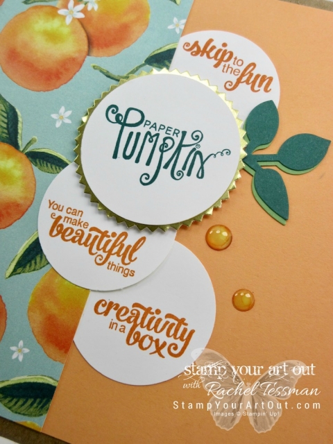 My gift box that each attendee received at my 2017 Paper Pumpkin Palooza event!...#stampyourartout #stampinup - Stampin’ Up!® - Stamp Your Art Out! www.stampyourartout.com