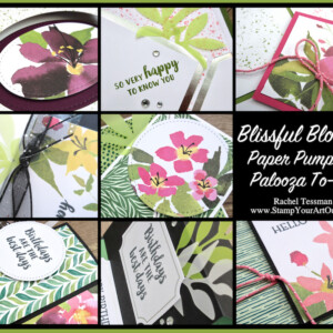Blissful Blooms Paper Pumpkin Palooza To-Go! - Stampin’ Up!® - Stamp Your Art Out! www.stampyourartout.com